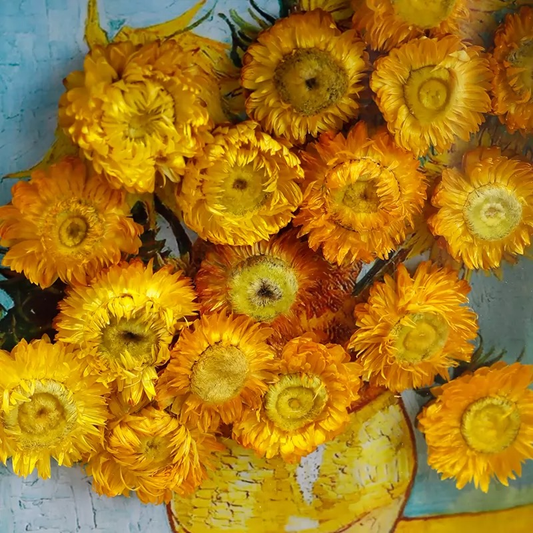 Plant Van Gogh's Spring on Your Wall – Sunflower-Inspired Dried Flower Art